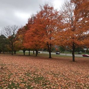 Meet your Posher, Aimee